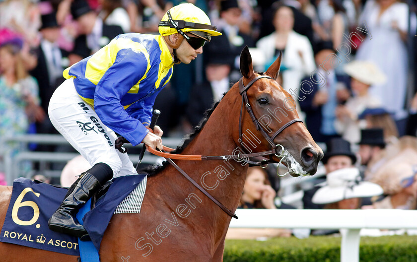 Goliath-0001 
 GOLIATH (Maxime Guyon)
Royal Ascot 22 Jun 2024 - Pic Steven Cargill / Racingfotos.com