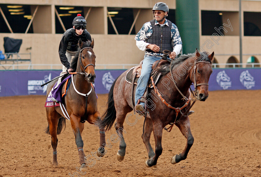 Marsha-0004 
 MARSHA (Luke Morris) training for The Breeders' Cup Turf Sprint at Del Mar USA, 1 Nov 2017 - Pic Steven Cargill / Racingfotos.com