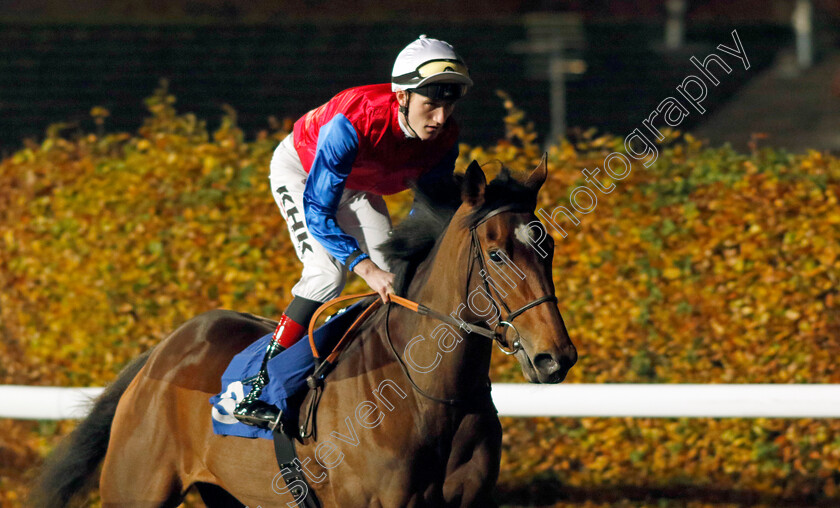 Ejaabiyah-0008 
 EJAABIYAH (David Egan) winner of The Unibet British Stallion Studs EBF Fillies Novice Stakes
Kempton 15 Nov 2023 - Pic Steven Cargill / Racingfotos.com