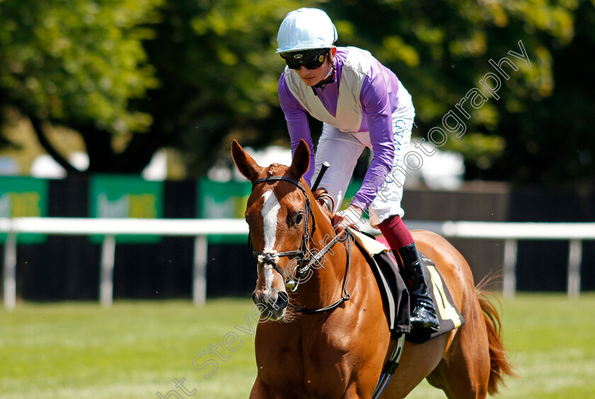 Frankness 
 FRANKNESS (Rob Hornby)
Newmarket 9 Jul 2022 - Pic Steven Cargill / Racingfotos.com