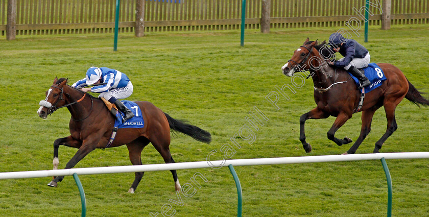 Beat-The-Bank-0003 
 BEAT THE BANK (Oisin Murphy) beats SIR JOHN LAVERY (right) in The Shadwell Joel Stakes Newmarket 29 Sep 2017 - Pic Steven Cargill / Racingfotos.com