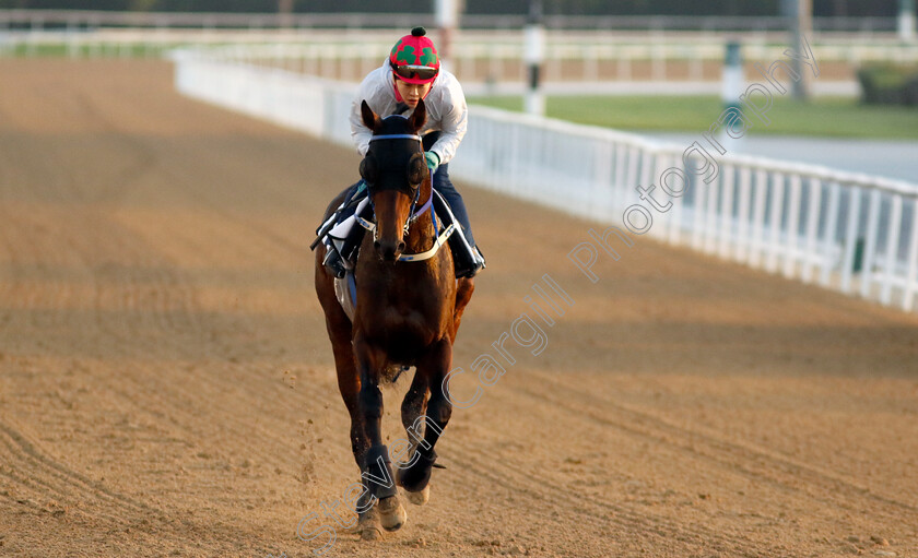 Global-Hit-0001 
 GLOBAL HIT training at the Dubai Racing Carnival
Meydan 22 Jan 2025 - Pic Steven Cargill / Racingfotos.com