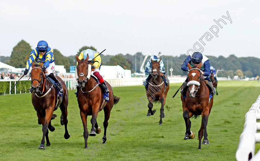 Coltrane-0004 
 COLTRANE (right, David Probert) beats LISMORE (centre) and TRUESHAN (left) in The Coral Doncaster Cup
Doncaster 11 Sep 2022 - Pic Steven Cargill / Racingfotos.com