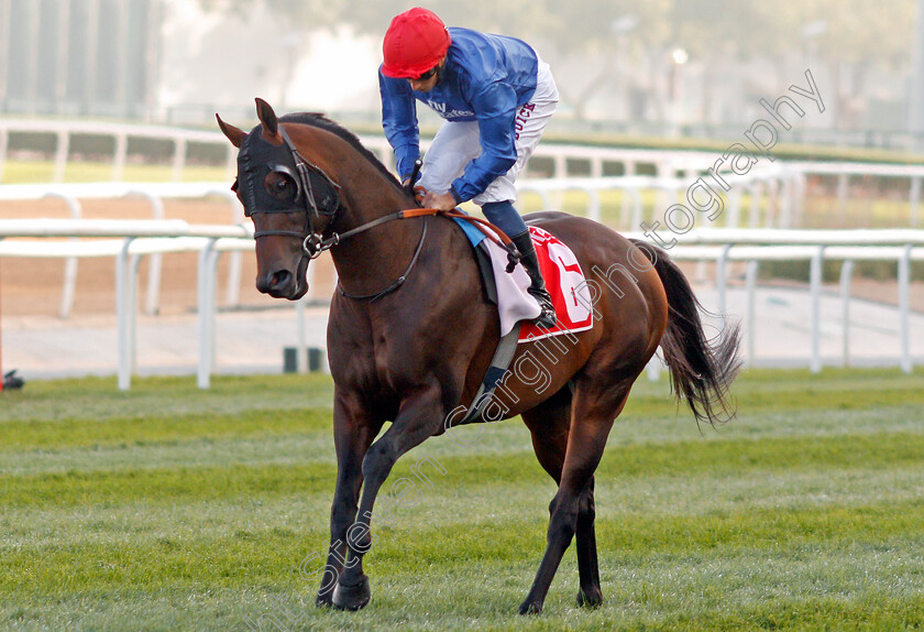 Jungle-Cat-0001 
 JUNGLE CAT (William Buick) winner of The Nad Al Sheba Turf Sprint Meydan 10 Mar 2018 - Pic Steven Cargill / Racingfotos.com