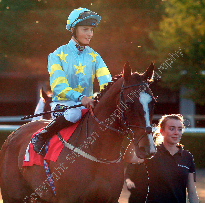 Classified-0001 
 CLASSIFIED (William Cox)
Kempton 15 Aug 2018 - Pic Steven Cargill / Racingfotos.com