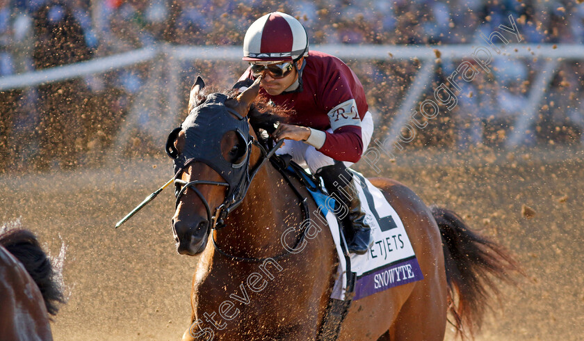 Snowyte-0001 
 SNOWYTE (Luis Saez)
Del Mar 1 Nov 2024 - Pic Steven Cargill / Racingfotos.com