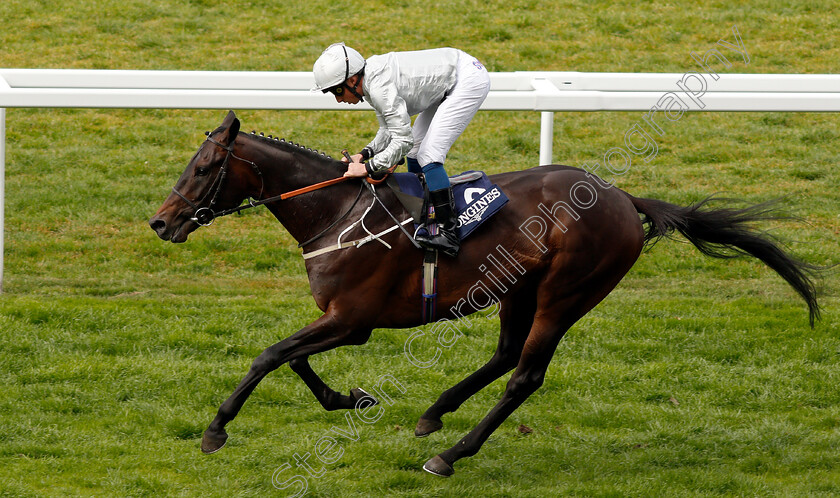 Dee-Ex-Bee-0009 
 DEE EX BEE (William Buick) wins The Longines Sagaro Stakes
Ascot 1 May 2019 - Pic Steven Cargill / Racingfotos.com