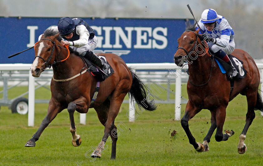 Rohaan-0003 
 ROHAAN (left, Ryan Moore) beats SAINT LAWRENCE (right) in The Qipco British Champions Series Pavilion Stakes
Ascot 28 Apr 2021 - Pic Steven Cargill / Racingfotos.com