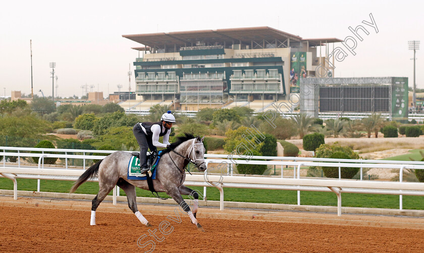 Saudi-Crown-0001 
 SAUDI CROWN training for The Saudi Cup
King Abdulaziz Racetrack, Saudi Arabia 22 Feb 2024 - Pic Steven Cargill / Racingfotos.com