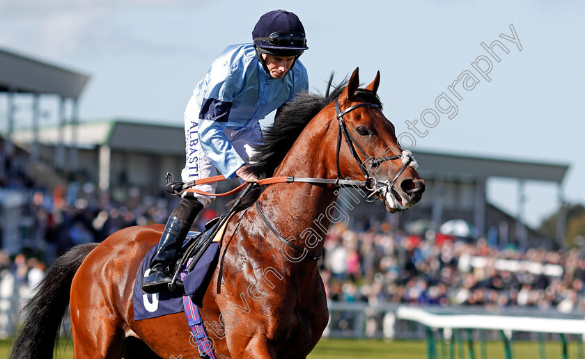 Intellect-0002 
 INTELLECT (Ryan Moore) Yarmouth 19 Sep 2017 - Pic Steven Cargill / Racingfotos.com