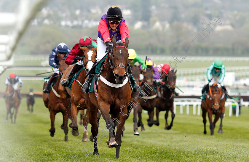 Sunshade-0003 
 SUNSHADE (Nico de Boinville) wins The Catesby Estates PLC Mares Handicap Hurdle
Cheltenham 18 Apr 2019 - Pic Steven Cargill / Racingfotos.com