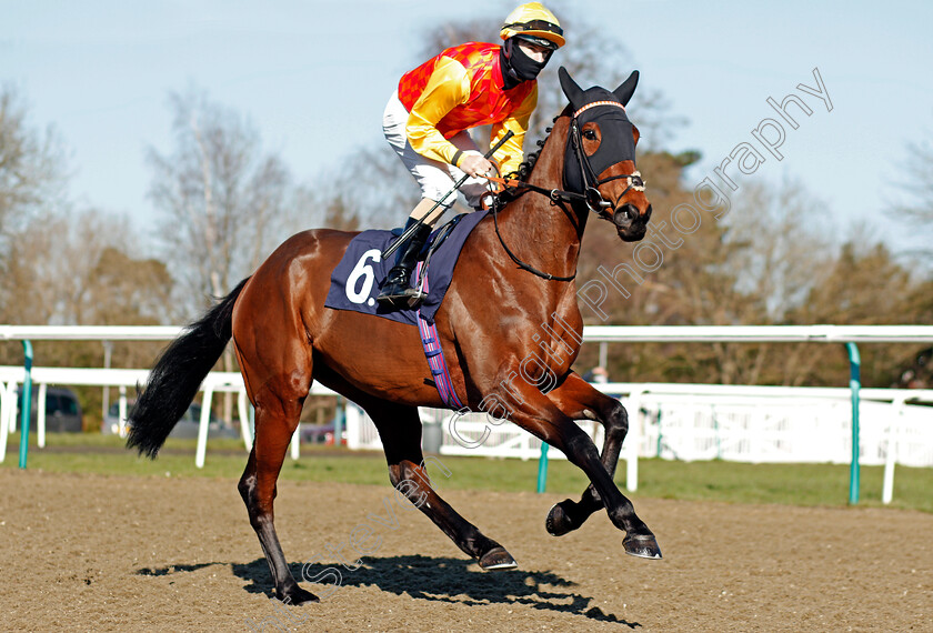 Nellie-Moon-0001 
 NELLIE MOON (Richard Kingscote) winner of The Play Ladbrokes 5-A-Side On Football Novice Stakes
Lingfield 26 Feb 2021 - Pic Steven Cargill / Racingfotos.com