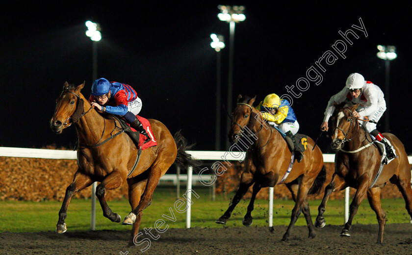 Home-Before-Dusk-0003 
 HOME BEFORE DUSK (Callum Rodriguez) wins The 32Red.com Handicap
Kempton 19 Feb 2020 - Pic Steven Cargill / Racingfotos.com