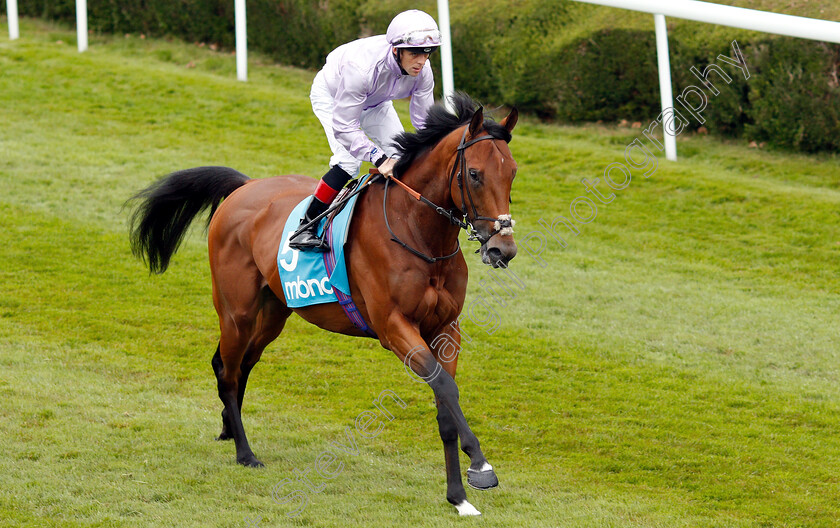 King-Ottokar-0002 
 KING OTTOKAR (Ben Curtis)
Chester 8 May 2019 - Pic Steven Cargill / Racingfotos.com