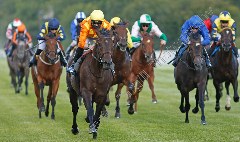 Tinker-Toy-0005 
 TINKER TOY (Jack Mitchell) wins The Every Race Live On Racing TV Novice Stakes Div1
Salisbury 11 Jul 2020 - Pic Steven Cargill / Racingfotos.com