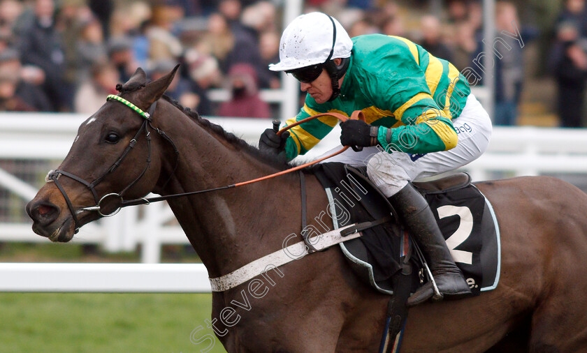 Birchdale-0009 
 BIRCHDALE (Barry Geraghty) wins The Ballymore Novices Hurdle
Cheltenham 26 Jan 2019 - Pic Steven Cargill / Racingfotos.com