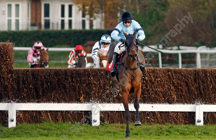 Mount-Tempest-0002 
 MOUNT TEMPEST (Harry Skelton) wins The Best Odds On The Betfair Exchange Handicap Chase
Sandown 8 Dec 2023 - pic Steven Cargill / Racingfotos.com