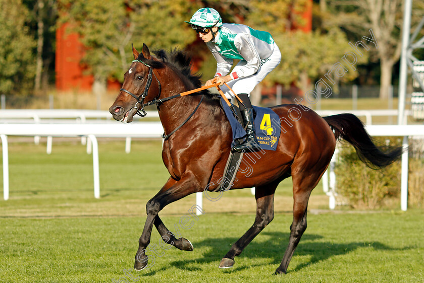 Best-Of-Lips-0009 
 BEST OF LIPS (Hugo Boutin) winner of The Stockholm Cup International
Bro Park, Sweden , 15 Sep 2024 - Pic Steven Cargill / Racingfotos.com