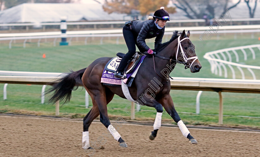 Chocolate-Gelato-0001 
 CHOCOLATE GELATO training for the Breeders' Cup Juvenile Fillies
Keeneland USA 2 Nov 2022 - Pic Steven Cargill / Racingfotos.com