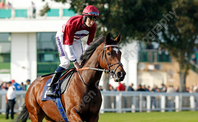 Naomi-Lapaglia-0001 
 NAOMI LAPAGLIA (Daniel Muscutt)
Yarmouth 18 Sep 2024 - Pic Steven Cargill / Racingfotos.com