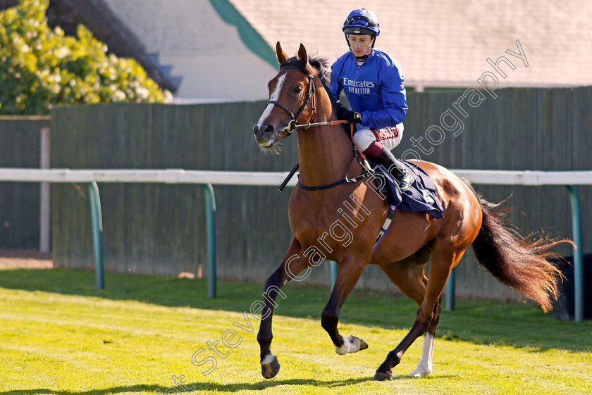 Live-Your-Dream-0001 
 LIVE YOUR DREAM (Oisin Murphy)
Yarmouth 19 Sep 2019 - Pic Steven Cargill / Racingfotos.com