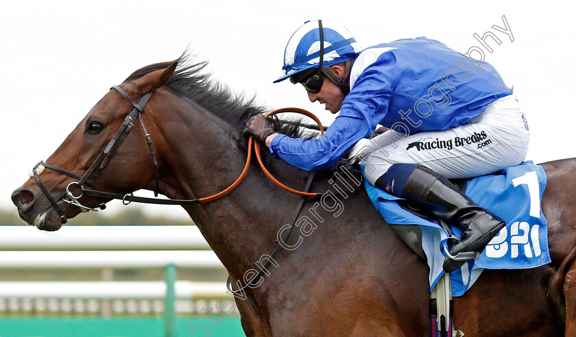 Mustashry-0008 
 MUSTASHRY (Jim Crowley) wins The Godolphin Std & Stable Staff Awards Challenge Stakes
Newmarket 11 Oct 2019 - Pic Steven Cargill / Racingfotos.com