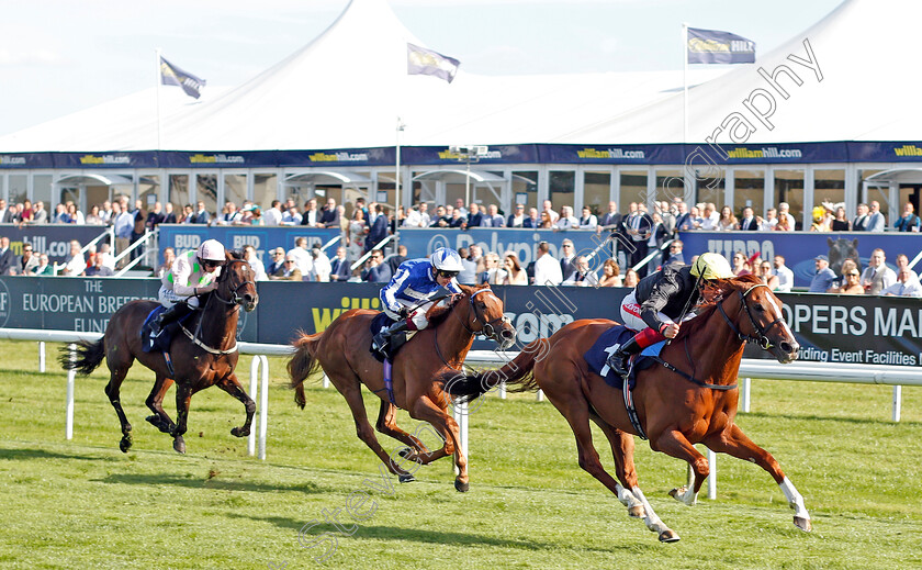 Stradivarius-0005 
 STRADIVARIUS (Frankie Dettori) wins The Magners Rose Doncaster Cup
Doncaster 13 Sep 2019 - Pic Steven Cargill / Racingfotos.com