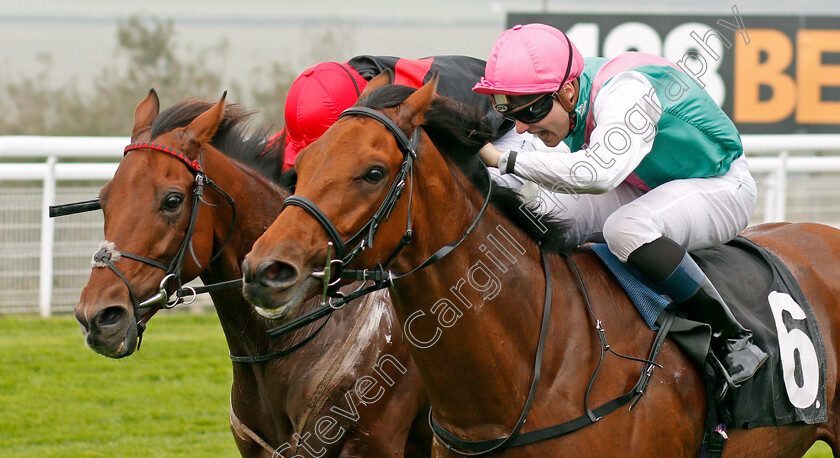 Monarchs-Glen-0004 
 MONARCHS GLEN (right, Robert Tart) beats WHAT ABOUT CARLO (left) in The EBF Stallions Foundation Stakes Goodwood 27 Sep 2017 - Pic Steven Cargill / Racingfotos.com