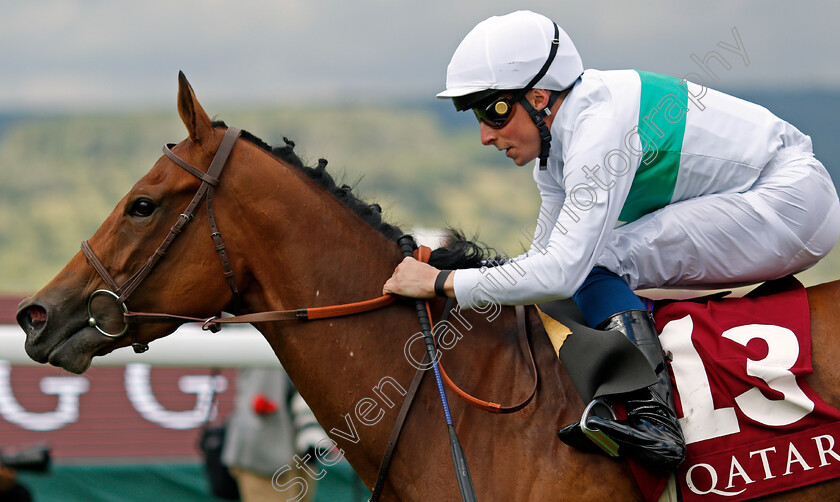 Suesa-0005 
 SUESA (William Buick) wins The King George Qatar Stakes
Goodwood 30 Jul 2021 - Pic Steven Cargill / Racingfotos.com