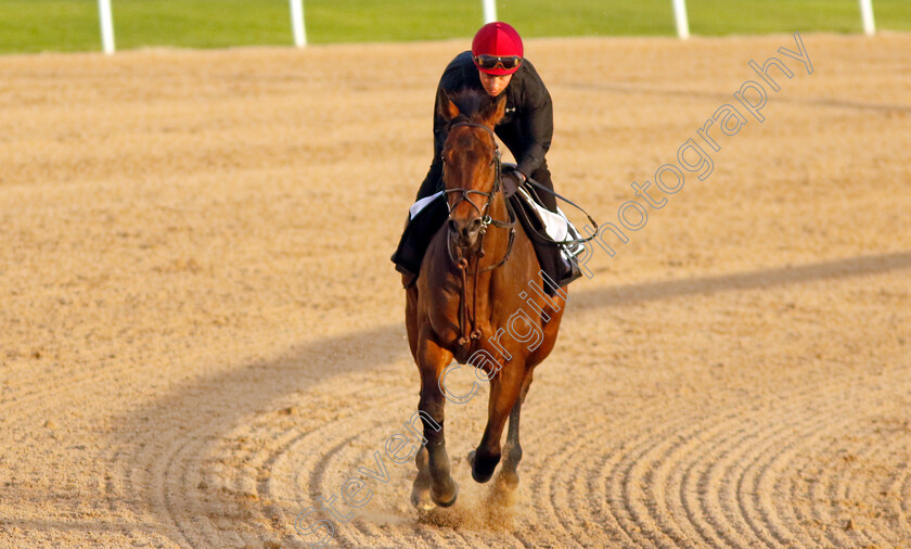 Emaraaty-Ana-0002 
 EMARAATY ANA training at the Dubai Racing Carnival
Meydan 1 Mar 2024 - Pic Steven Cargill / Racingfotos.com