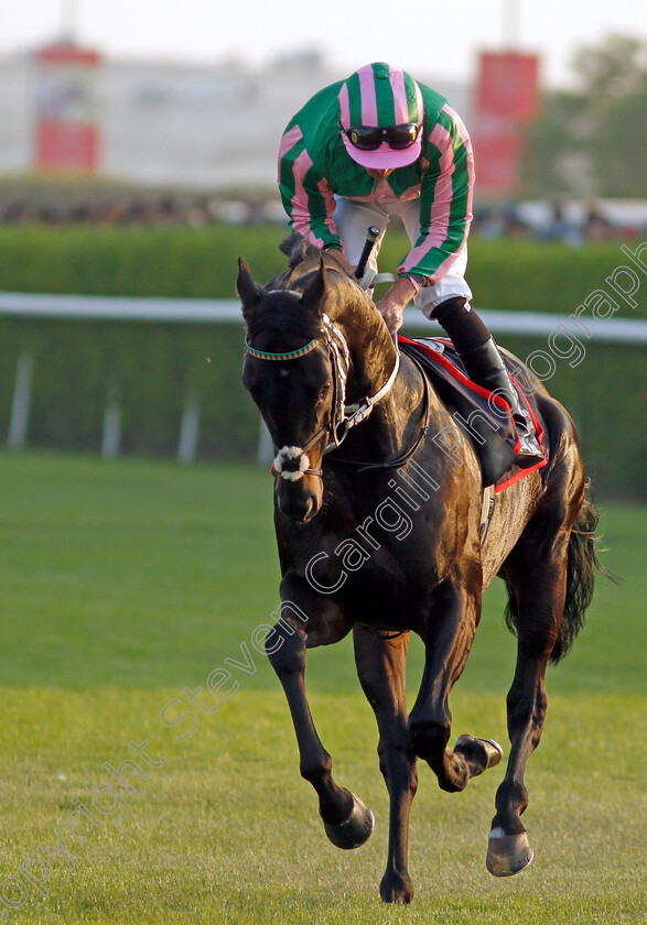 Pogo-0002 
 POGO (Kieran Shoemark)
Sakhir Racecourse, Bahrain 19 Nov 2021 - Pic Steven Cargill / Racingfotos.com