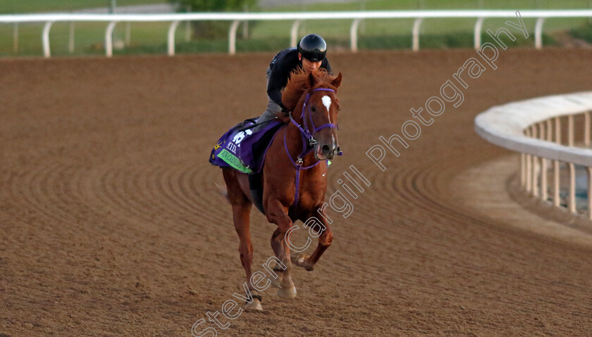 Win-Carnellian-0001 
 WIN CARNELLIAN training for The Breeders' Cup Mile
Santa Anita USA, 31 October 2023 - Pic Steven Cargill / Racingfotos.com