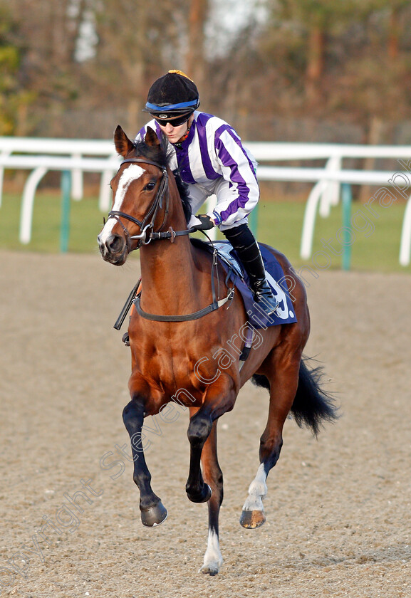 Schmoozie-0001 
 SCHMOOZIE (Josephine Gordon)
Lingfield 9 Dec 2019 - Pic Steven Cargill / Racingfotos.com