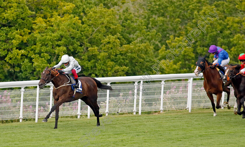 Forest-Falcon-0003 
 FOREST FALCON (Frankie Dettori) wins The Coral Chesterfield Cup Handicap
Goodwood 26 Jul 2022 - Pic Steven Cargill / Racingfotos.com