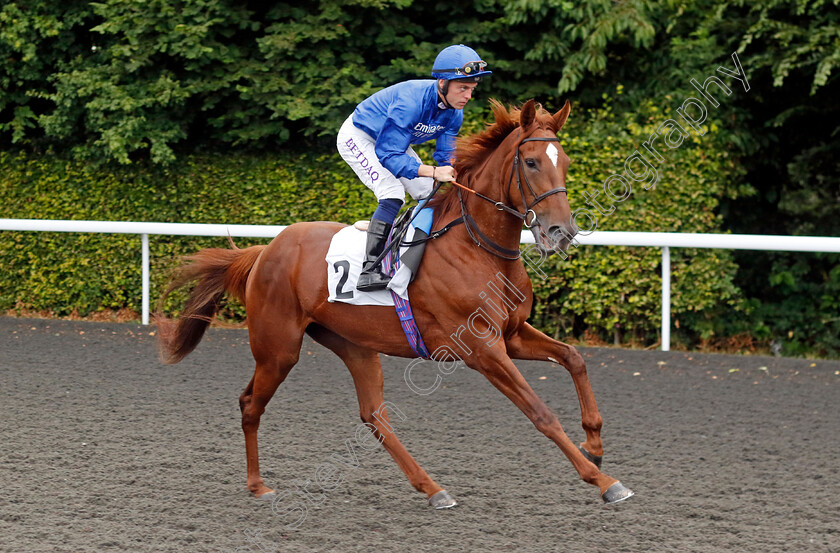 Dancingintherain-0001 
 DANCINGINTHERAIN (Ray Dawson)
Kempton 16 Jul 2024 - Pic Steven Cargill / Racingfotos.com