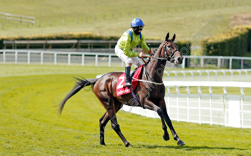 Subjectivist-0001 
 SUBJECTIVIST (Joe Fanning) before The Ladbrokes March Stakes
Goodwood 29 Aug 2020 - Pic Steven Cargill / Racingfotos.com