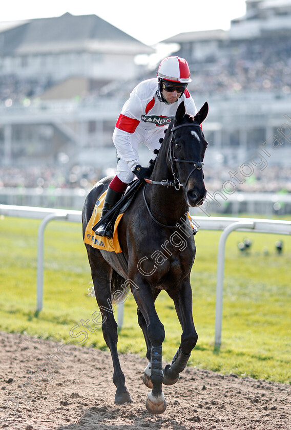 Serienschock-0001 
 SERIENSCHOCK (Ludovic Philipperon) Aintree 14 Apr 2018 - Pic Steven Cargill / Racingfotos.com