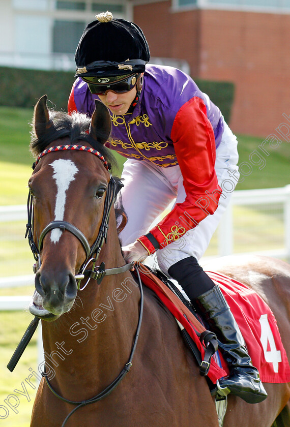 Fruition-0002 
 FRUITION (James Doyle)
Sandown 30 Aug 2019 - Pic Steven Cargill / Racingfotos.com