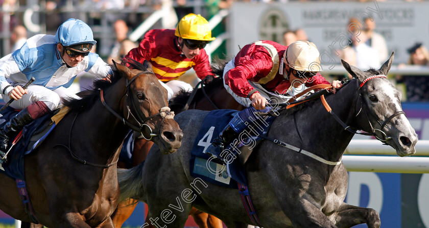 Cabrera-0001 
 CABRERA (right, Callum Rodriguez) and MERIBELLA (left) 
Doncaster 13 Sep 2024 - Pic Steven Cargill / Racingfotos.com