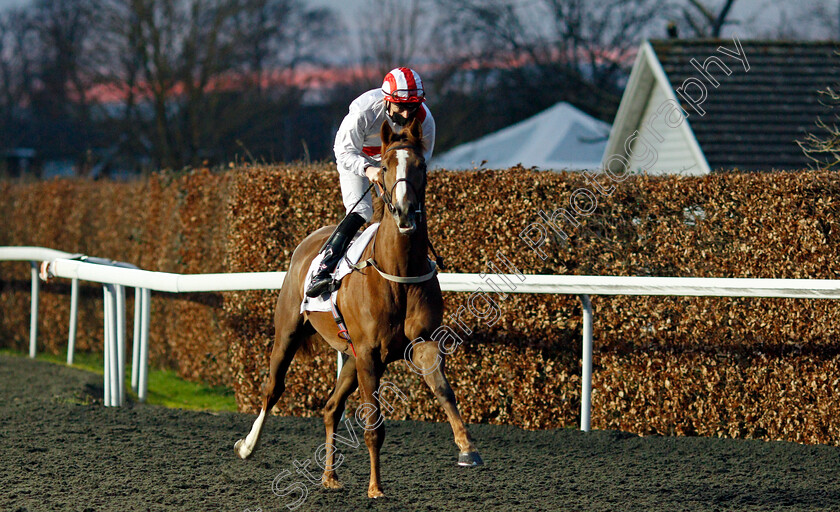 Illustrator-0001 
 ILLUSTRATOR (Callum Shepherd)
Kempton 24 Feb 2021 - Pic Steven Cargill / Racingfotos.com