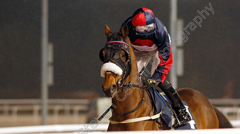 Monjeni-0001 
 MONJENI (Thore Hammer Hansen) 
Wolverhampton 7 Jan 2021 - Pic Steven Cargill / Racingfotos.com