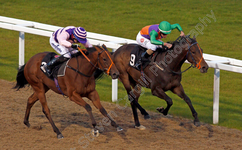 Episcia-0002 
 EPISCIA (right, Aaron Jones) beats GHEPARDO (left) in The Bet toteJackpot At betfred.com Novice Auction Stakes Chelmsford 26 Sep 2017 - Pic Steven Cargill / Racingfotos.com