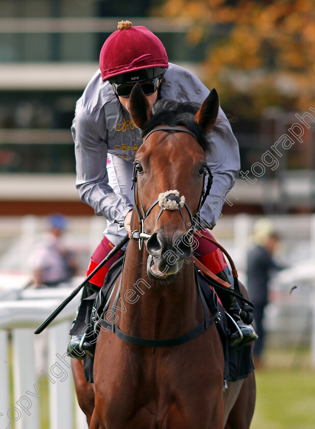 Reshaan-0001 
 RESHAAN (Frankie Dettori) Newbury 23 Sep 2017 - Pic Steven Cargill / Racingfotos.com