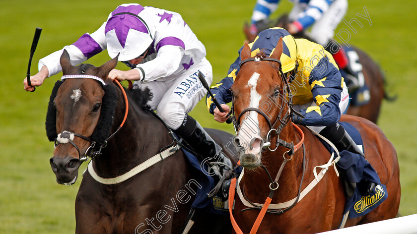 Time-To-Study-0006 
 TIME TO STUDY (right, P J McDonald) beats BYRON FLYER (left) in The William Hill Mallard Handicap Doncaster 15 Sep 2017 - Pic Steven Cargill / Racingfotos.com