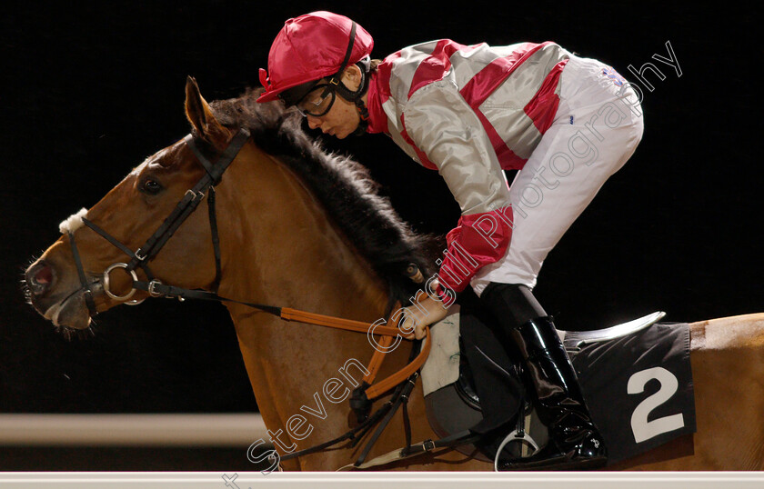 En-Famille-0001 
 EN FAMILLE (Callum Shepherd)
Chelmsford 2 Jan 2020 - Pic Steven Cargill / Racingfotos.com