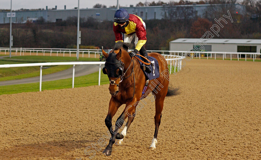 Zoolander-0001 
 ZOOLANDER (Nicola Currie)
Wolverhampton 24 Nov 2020 - Pic Steven Cargill / Racingfotos.com