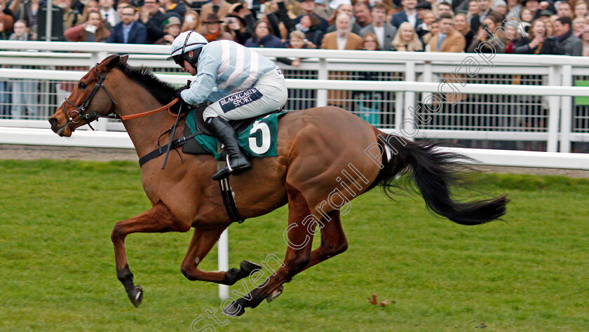 Summerville-Boy-0009 
 SUMMERVILLE BOY (Jonathan Burke) wins The Dornan Engineering Relkeel Hurdle
Cheltenham 1 Jan 2020 - Pic Steven Cargill / Racingfotos.com