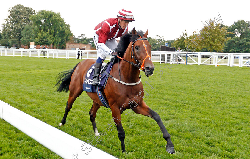 Salouen-0001 
 SALOUEN (Jim Crowley)
Ascot 27 Jul 2019 - Pic Steven Cargill / Racingfotos.com