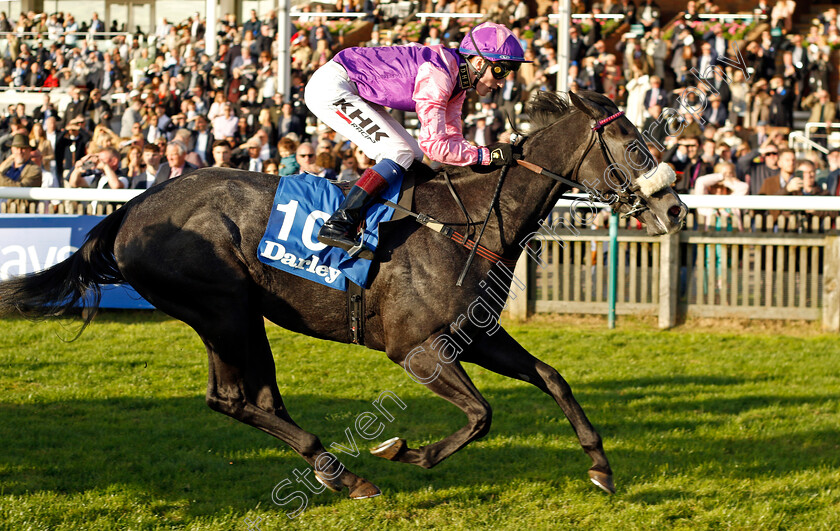 Azure-Blue-0005 
 AZURE BLUE (David Egan) wins The Blue Point British EBF Boadicea Stakes
Newmarket 8 Oct 2022 - Pic Steven Cargill / Racingfotos.com