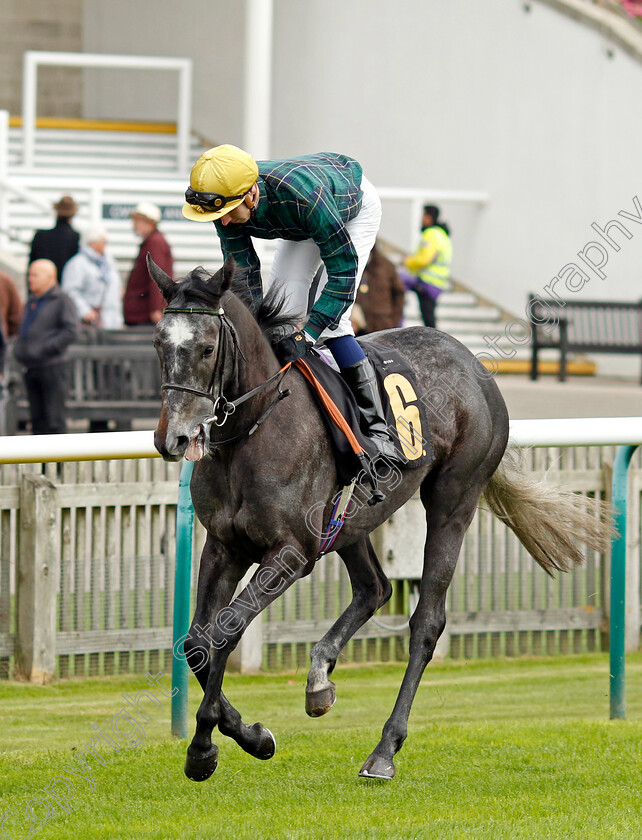 Shemozzle-0006 
 SHEMOZZLE (Hector Crouch) winner of The racingtv.com Fillies Restricted Novice Stakes
Newmarket 25 Oct 2023 - Pic Steven Cargill / Racingfotos.com